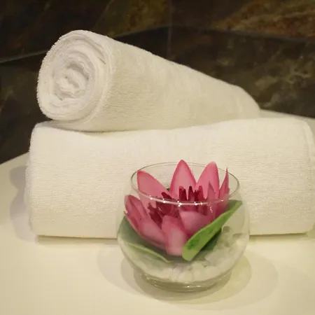 Отель Ub Business & Wellness 4*