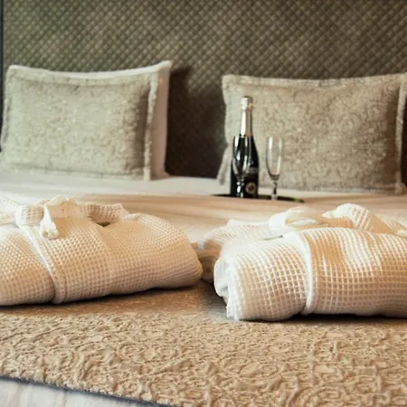 Ub Business & Wellness 4* Ub